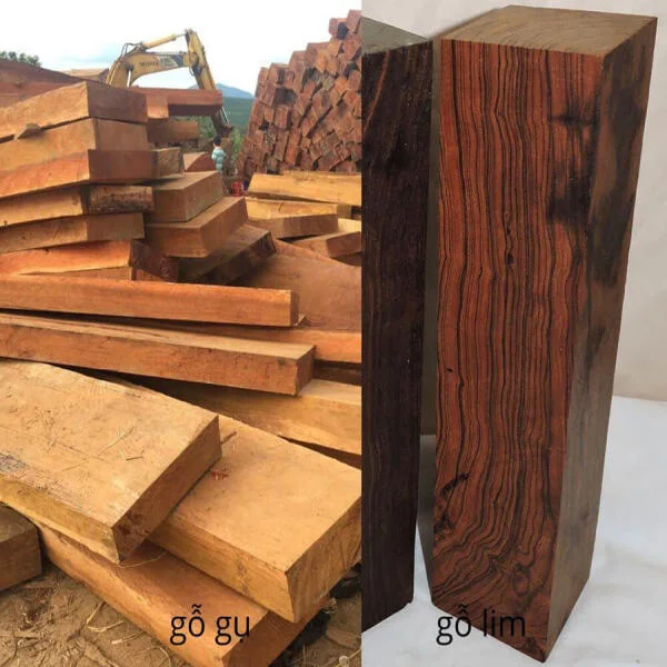 So sánh gỗ gụ và gỗ lim: Gỗ nào tốt hơn cho nội thất và công trình?