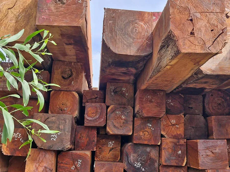 Gỗ căm xe là gỗ gì?