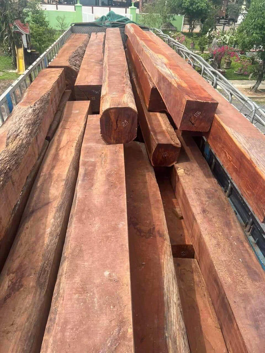 Đặc điểm nổi bật