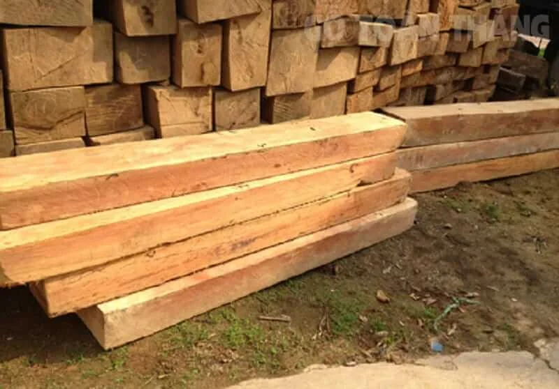 Phân loại gỗ táu