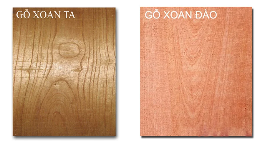 Phân biệt gỗ xoan ta và xoan đào
