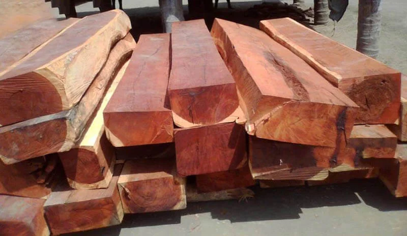 Đặc tính chi tiết của gỗ gụ